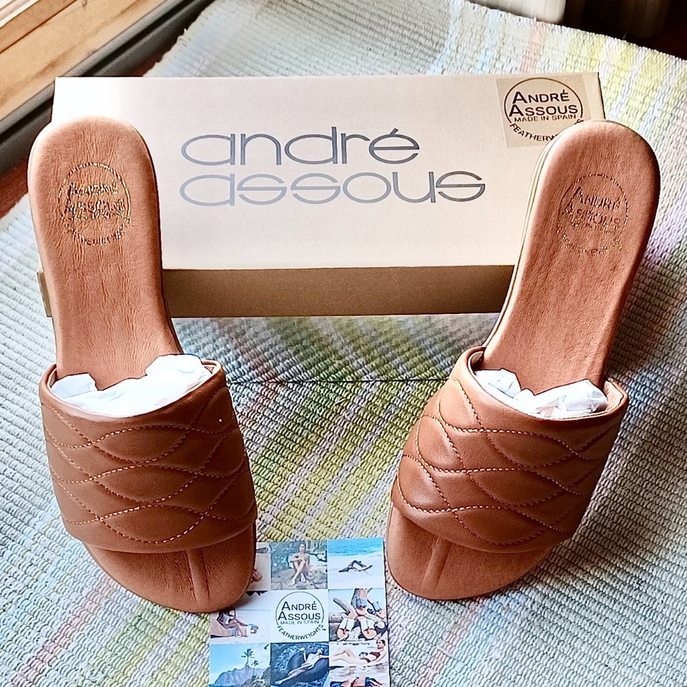 Vacay Slide Flat Sandals by Andre Assous NWOT Sz 8